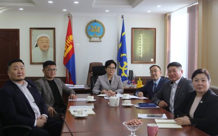 МУ-ЫН ЗАСГИЙН ГАЗРЫН ХЭРЭГ ЭРХЛЭХ ГАЗРААС ОРОН НУТГИЙН УДИРДЛАГАТАЙ ЦАХИМААР ХУРАЛДЛАА