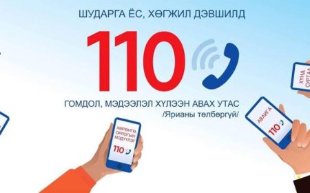 АВИЛГАТАЙ ТЭМЦЭХ ГАЗАРТ ОНЫ ЭХНИЙ ӨДРҮҮДЭД 42 ГОМДОЛ МЭДЭЭЛЭЛ ИРЖЭЭ