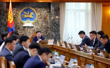 Ноолуурын үйлдвэрлэлийг дэмжих тухай Засгийн газрын тогтоол батлагдлаа