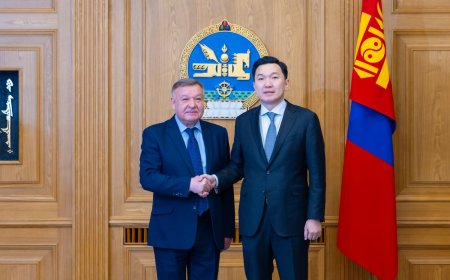 Ерөнхий сайд ОХУ-аас дизель түлшийг хөнгөлөлттэй үнээр, эсвэл хөнгөлөлттэй нөхцөлөөр худалдан авах хүсэлтээ илэрхийллээ.